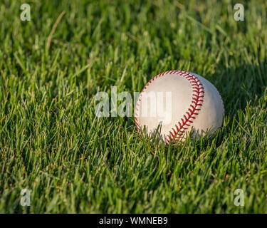 Nahaufnahme des Baseballs in grüne Gras auf dem Feld an einem sonnigen Tag Stockfoto