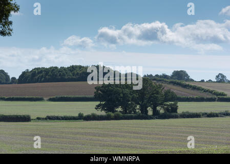 Felder in der Landschaft Seite Schönheit auf einem Sommertag mit sanften Hügeln Downs Stockfoto