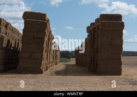 Heuballen legen im Feld bereit, für den Winter zu lagern Vorschub Stockfoto