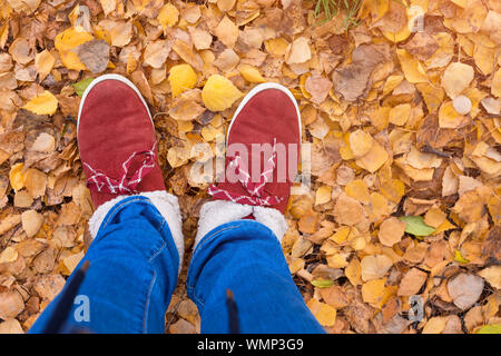 Füße im warmen Schuhe Wandern auf Herbstlaub im Park mit Herbst Jahreszeit Natur für den Hintergrund. Lifestyle Mode trendy Stil. Herbst in Hipster Stockfoto