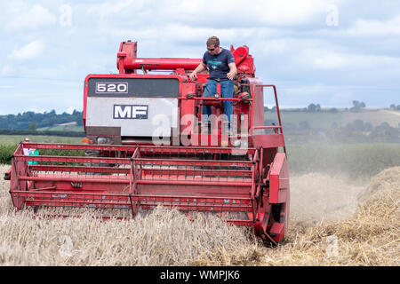 Haselbury Plucknet. Somerset. Vereinigtes Königreich. 18. August 2019. Ein vintage Massey Ferguson 520 Mähdrescher ist Weizen ernten An einem gestern farmi Stockfoto