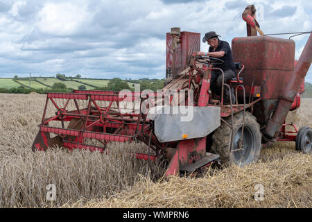 Haselbury Plucknet. Somerset. Vereinigtes Königreich. 18. August 2019. Ein vintage Mähdrescher Ernten von Weizen in einem gestern Landwirtschaft Veranstaltung Stockfoto