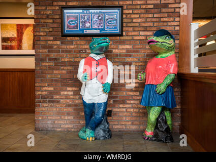 Universität von Florida Maskottchen, Albert und Alberta Gator, Statuen, die in den Eingang zu Perkins Restaurant in Gainesville, Florida. Stockfoto