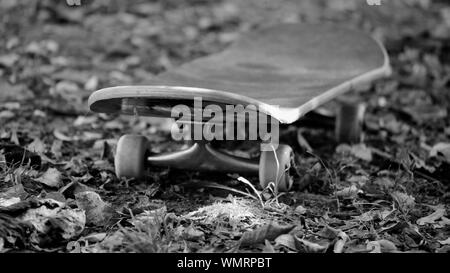 Skateboard auf einem Boden Stockfoto