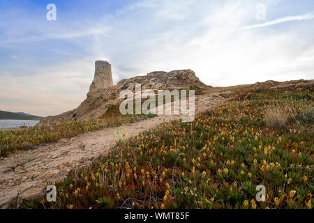 Genuesischer Turm im La Pietra (Ile Rousse, Korsika, Frankreich) von Tag zu Tag Stockfoto