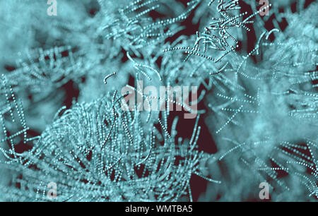 Makrobild von Mikroben und Zellen.Biotechnologie und genetisch.Mikrobiologie und Wissenschaft Concept.3d-Illustration Stockfoto