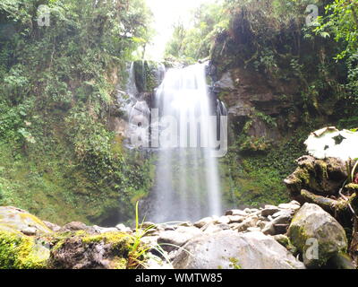 Wendys Wasserfälle im Dschungel und Regenwald in Boquete, Panama. Üppiger grüner Regenwaldwasserfall im Park und in den Bergen in der Nähe von Boquete. Stockfoto