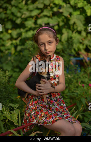 Ein kleines Mädchen mit ihrem Haustier chihuahua Hund. 9 Jahr alten Baby Chihuahua. ein Mädchen in einem Kleid mit Blüten auf einem Spaziergang mit Ihrem Haustier. Ein Mädchen auf dem Hintergrund der Gree Stockfoto