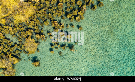 Antenne drone Blick von oben auf die blaue Lagune mit azurblauen Meer Wasser mit Algen, Ferienhäuser Travel Concept Stockfoto