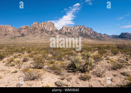 Orgel Berge Wüste Peaks National Monument, New Mexico. Stockfoto