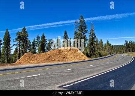 Abgesplitterte Schrägstrich entlang der Autobahn, Mischung aus Douglas Fir'PSEUDOTSUGA MENZIESII '& Ponderosa Pine' Pinus ponderosa "Fire Protection. Stockfoto