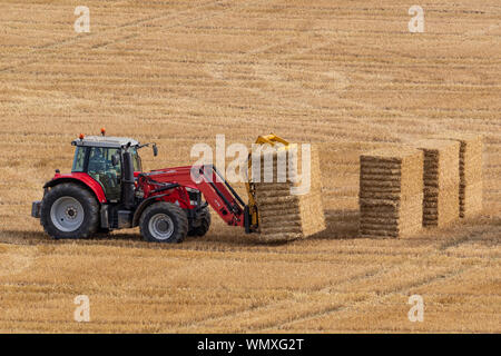 Landwirtschaft - Ein Traktor sammeln Heuballen nach der Ernte eines Feldes von Weizen auf Ackerland in North Yorkshire im Vereinigten Königreich. Stockfoto