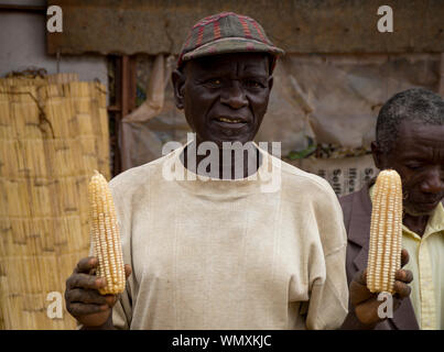 Mann Landwirt in Malawi hält große gesunde Maiskolben - ein Ergebnis der Tiyeni NGO Conservation Agriculture Annahme. Stockfoto