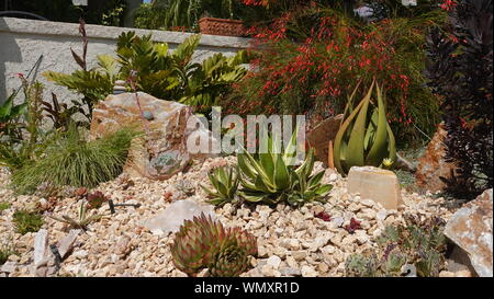 Medium in der Nähe der wunderschön dürreresistente Landschaftsgestaltung in einen Vorgarten in Kalifornien Stockfoto