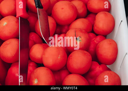 Frische reife Tomaten im Warenkorb. Close-up von lecker saftig frischen Tomaten aus weißem Kunststoff Warenkorb gesammelt. Ernte Konzept. Rote reife Tomaten in Stockfoto