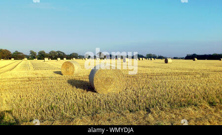 Englisch Sommer Blick auf Feld bestreut mit Strohballen Stockfoto