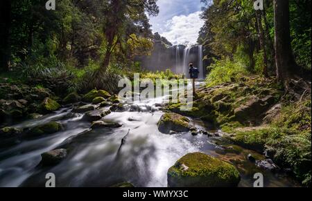 Junger Mann, der vor Wasserfall, Whangarei Falls, Flusses Hatea, Whangarei Falls Scenic Reserve, Northland, North Island, Neuseeland Stockfoto
