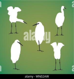 Vektor vogel Silhouette Stock Vektor