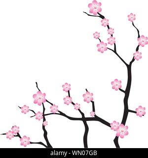 Orientalische Kirsche Zweig. Vektor-Illustration Stock Vektor