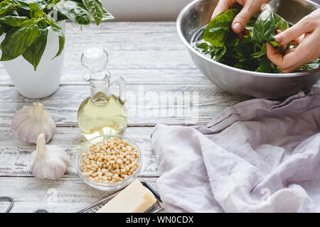 Die Pesto - Käse, Nüsse, Olivenöl, Basilikum in weibliche Hände auf dem hölzernen weißen Hintergrund. Stockfoto