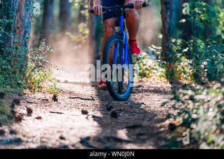 Mann auf Mountainbike Touren auf den Spuren durch den Wald und dabei extrem schnell. Stockfoto