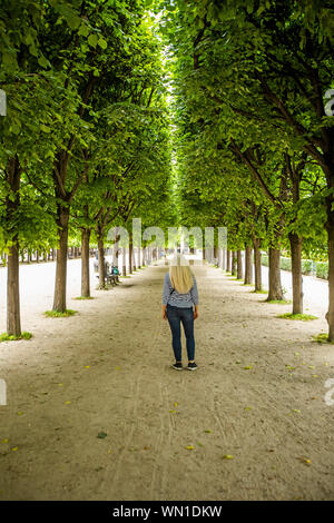 Frau zwischen den Reihen von Bäumen im Palais-Royal Gärten in Paris, Frankreich Stockfoto