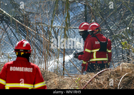 Lissabon, Portugal. 5. Sep 2019. Feuerwehrleute versuchen, ein Buschfeuer in Lissabon, Portugal, an Sept. 5, 2019 zu löschen. Eine bush Feuer am Donnerstag in Lissabon brach, lokale Medien berichtet. Credit: Pedro Fiuza/Xinhua Stockfoto