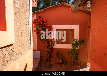 Blumen wachsen gegen eine peruanische Home Stockfoto