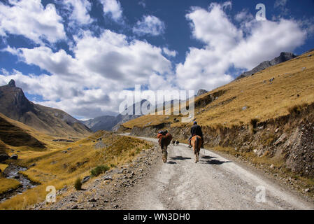 Maultiere auf der Spur in der Cordillera Huayhuash, Ancash, Peru Stockfoto