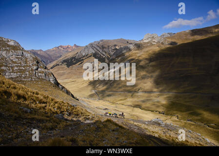 Maultiere auf der Spur in der Cordillera Huayhuash, Ancash, Peru Stockfoto