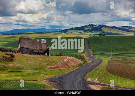 Die skeen School House in der Palouse, Washington Stockfoto