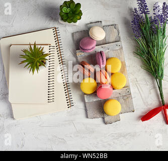 Gebackene runde bunte Macarons auf einem Holzbrett, Stapel von Spiral Notebooks, neben dem grünen Pflanzen in weißer Keramik Töpfe, Ansicht von oben, Arbeitsplatz Stockfoto