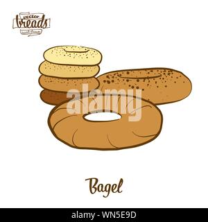 Farbige Zeichnung der Bagel Brot. Vector Illustration von Hefe Brot essen, in der Regel in Polnisch, Ashkenazi, Jüdische bekannt. Farbige Brot Skizzen. Stock Vektor