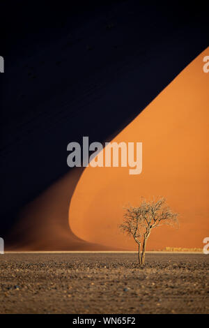 Tiefe Farben der Sanddünen bei Sonnenuntergang. Sossusvlei, Namibia. Stockfoto