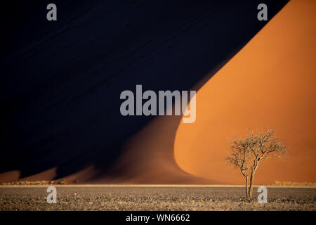 Tiefe Farben der Sanddünen bei Sonnenuntergang. Sossusvlei, Namibia. Stockfoto