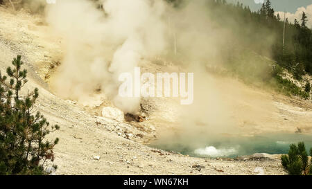 Beryl Feder und einem Dampfbad im Yellowstone National Park, USA Stockfoto