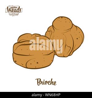 Farbige Zeichnung von Brioche Brot. Vector Illustration von Hefe Brot, süße Speisen, die in der Regel in Frankreich bekannt. Farbige Brot Skizzen. Stock Vektor