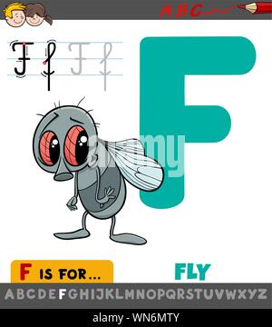 Pädagogische Cartoon Illustration der Buchstabe F von Alphabet mit Fliegen für Kinder Stock Vektor