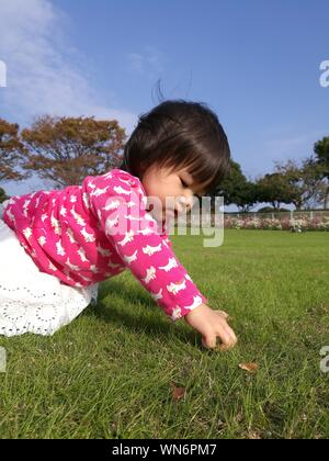 Cute Baby Mädchen spielen mit Gras auf dem Feld