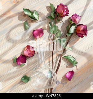 Drei rote Rosen, verstreut Blütenblätter, grüne Blätter, Glas Runde vase auf hölzernen Hintergrund Draufsicht closeup, Blumenschmuck Flach, vintage Stockfoto