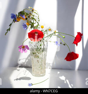 Hellen schönen Blumenstrauß einfaches Feld blumen Kamille Mohn rot weiss blau lila grün in einem Kristall Vase mit Wasser auf weißem Hintergrund Stockfoto