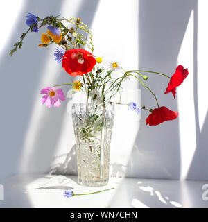Hellen schönen Blumenstrauß einfaches Feld blumen Kamille Mohn rot weiss blau violett grün in einem Kristall Vase mit Wasser auf weißem Hintergrund Stockfoto
