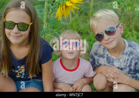 Kinder unter 8 Jahren Alle zusammen Tragen einer Brille vor dem Hintergrund des grünen Grases und gelbe Sonnenblumen. Stockfoto