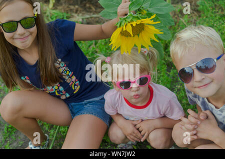 Kinder unter 8 Jahren Alle zusammen Tragen einer Brille vor dem Hintergrund des grünen Grases und gelbe Sonnenblumen. Stockfoto