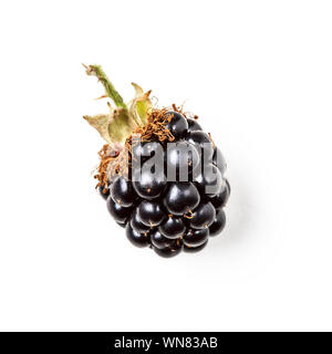 Frische black Obst mit Stammzellen auf weißem Hintergrund mit Freistellungspfad isoliert. Gesunde Ernährung und Diät Konzept. Sommer Früchte und Beeren. Singl Stockfoto
