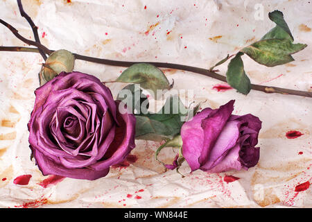 Zwei Burgund rosa Blüten auf lackierten zerknittert im Alter von Papier Hintergrund Nahaufnahme, urlaub Einladung oder Grußkarte, florales Design grunge Anordnung Stockfoto