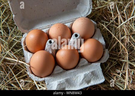 Sechs Eier in das Paket auf dem Stroh Stockfoto