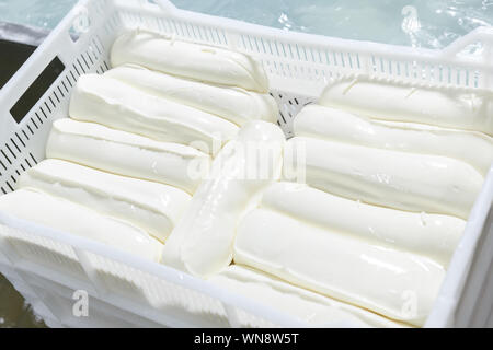 Frisch gekühlt Mozzarella Köpfe in einer Aufbewahrungsbox auf einem Käse Werk. Industrielle Käseherstellung Stockfoto