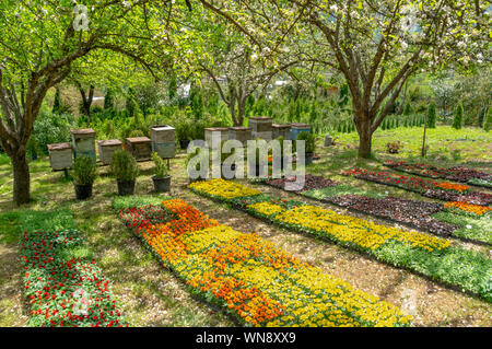 Bienenkörbe in einem schönen blühenden Garten, Bio-Honigproduktion in der Nähe von Borjomi, Georgia Stockfoto