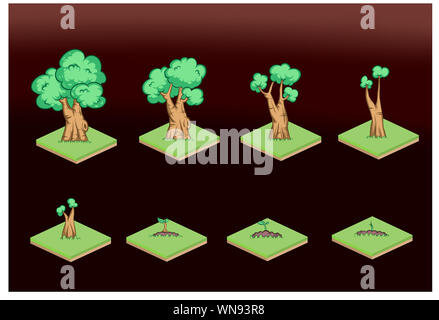 Viel Baum und Sammlung von einem grünen Bäumen, die wächst und immer besser auf die Fliesen., Abbildungen Stockfoto